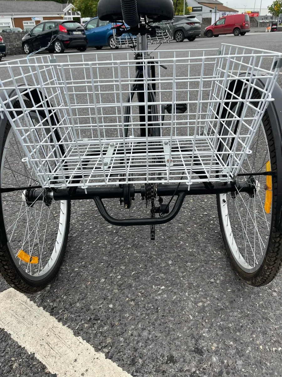 Adult Tricycle - Image 3