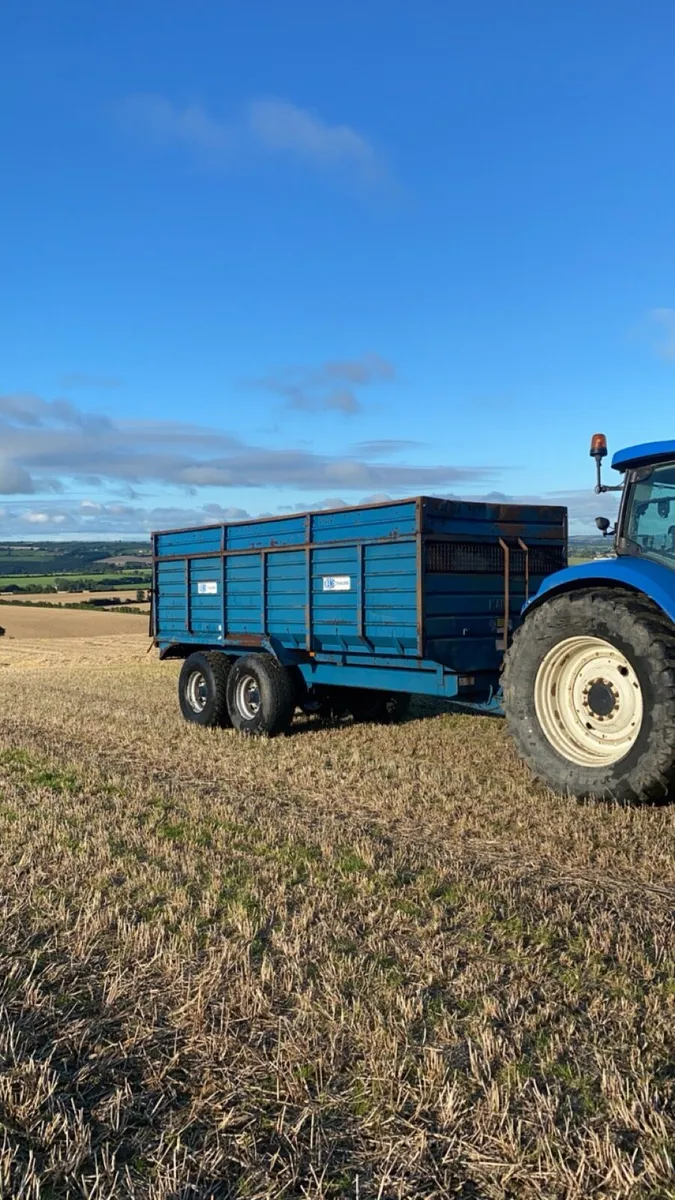 20ft Grain trailer/silage trailer - Image 1