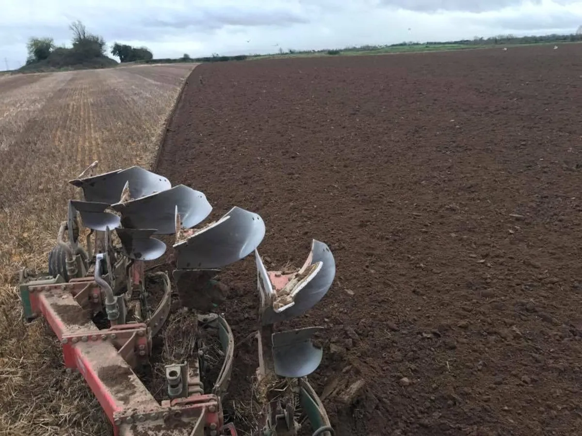 Reversible Plough - Image 2