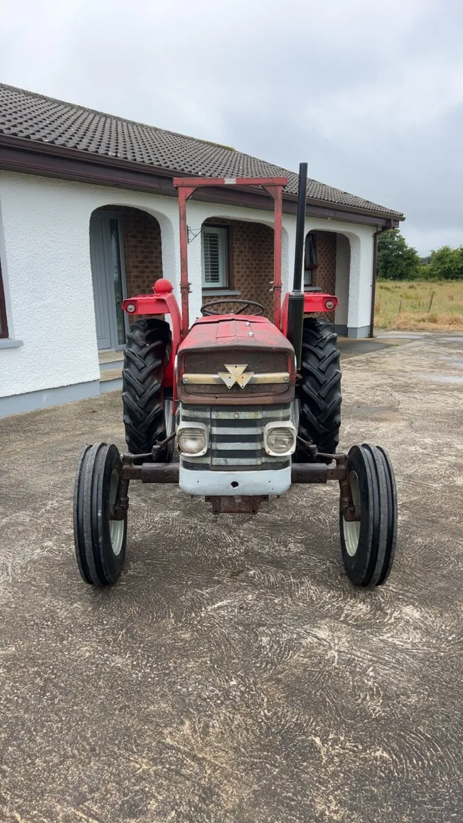 Massey Ferguson 135 - Image 2