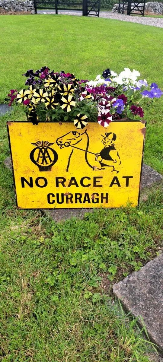Large  no race at curragh metal sign - Image 1