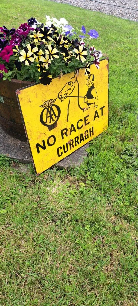 Large  no race at curragh metal sign - Image 2