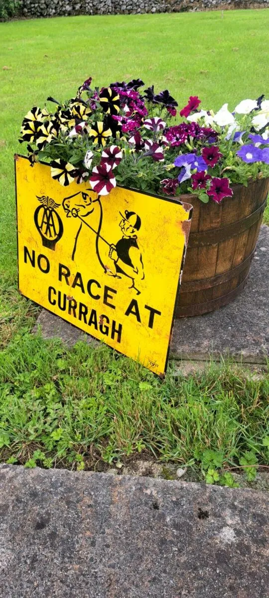 Large  no race at curragh metal sign - Image 3