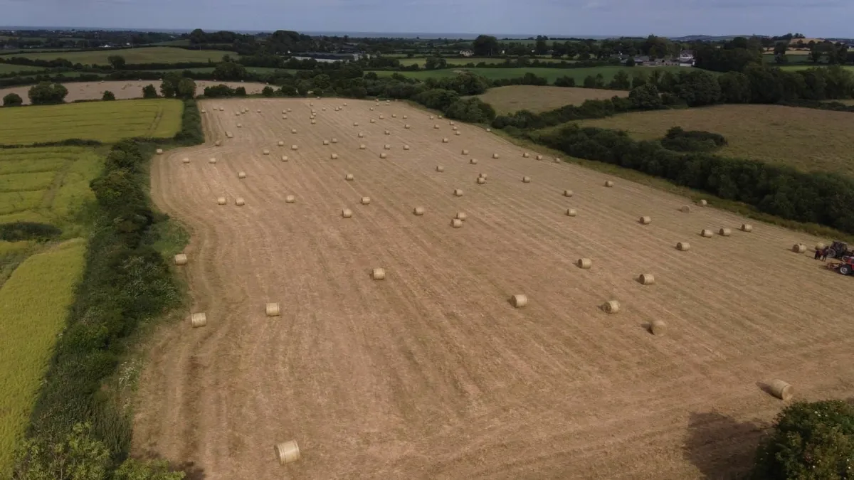 Bales