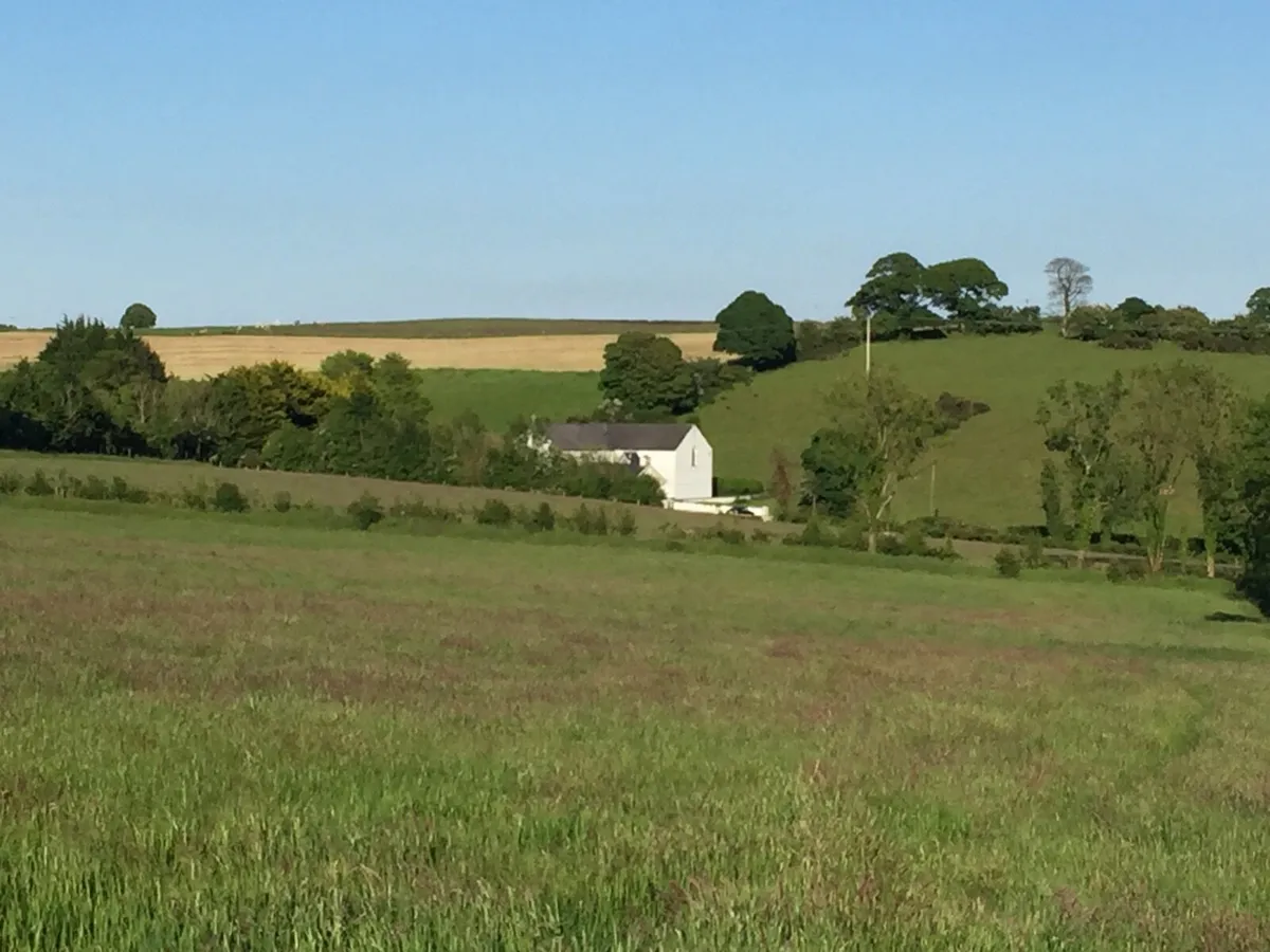 Grass Meadow ready to cut - Image 4