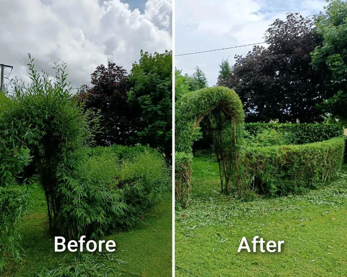 Power Washing & Handyman Services - Image 4
