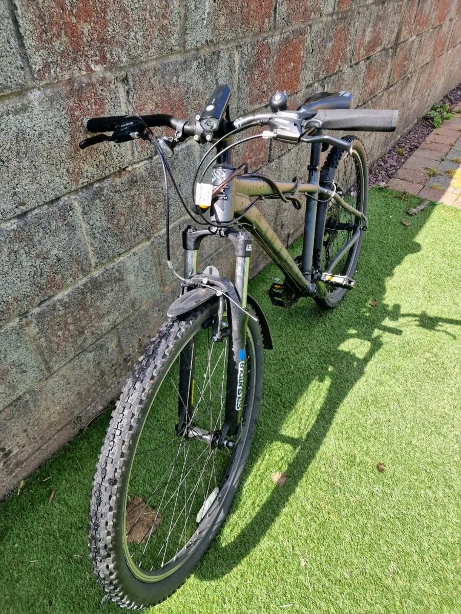Carrera mountain bike adult size - Image 3