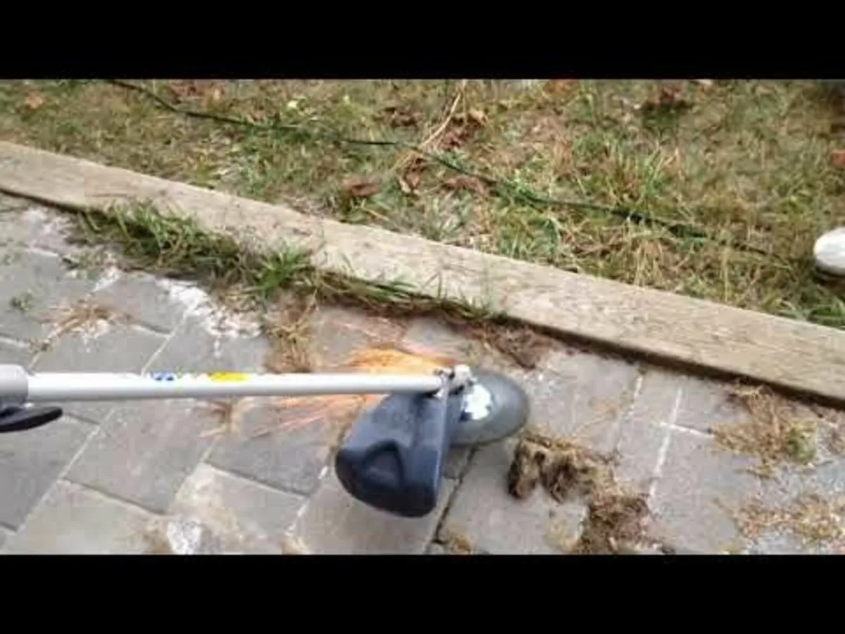 Strimmers Universal Head Wire Brush - Image 2
