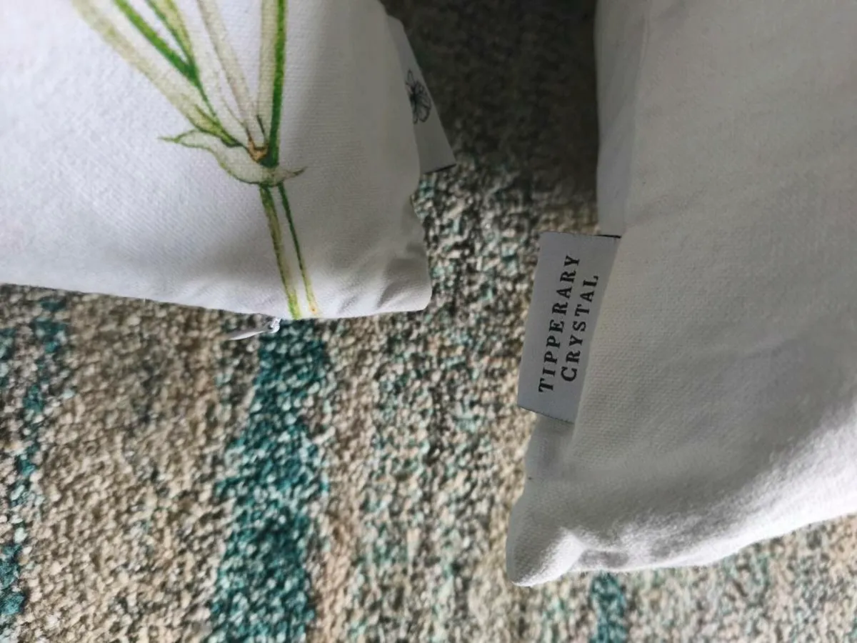 Cushions and throw - Image 4