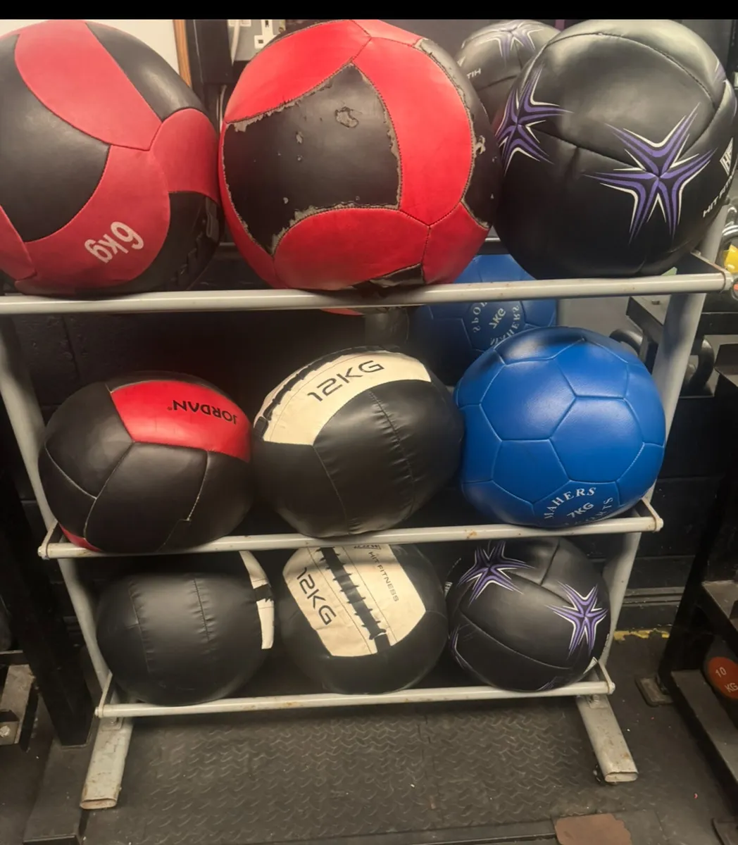 Medicine ball/Wall ball storage rack