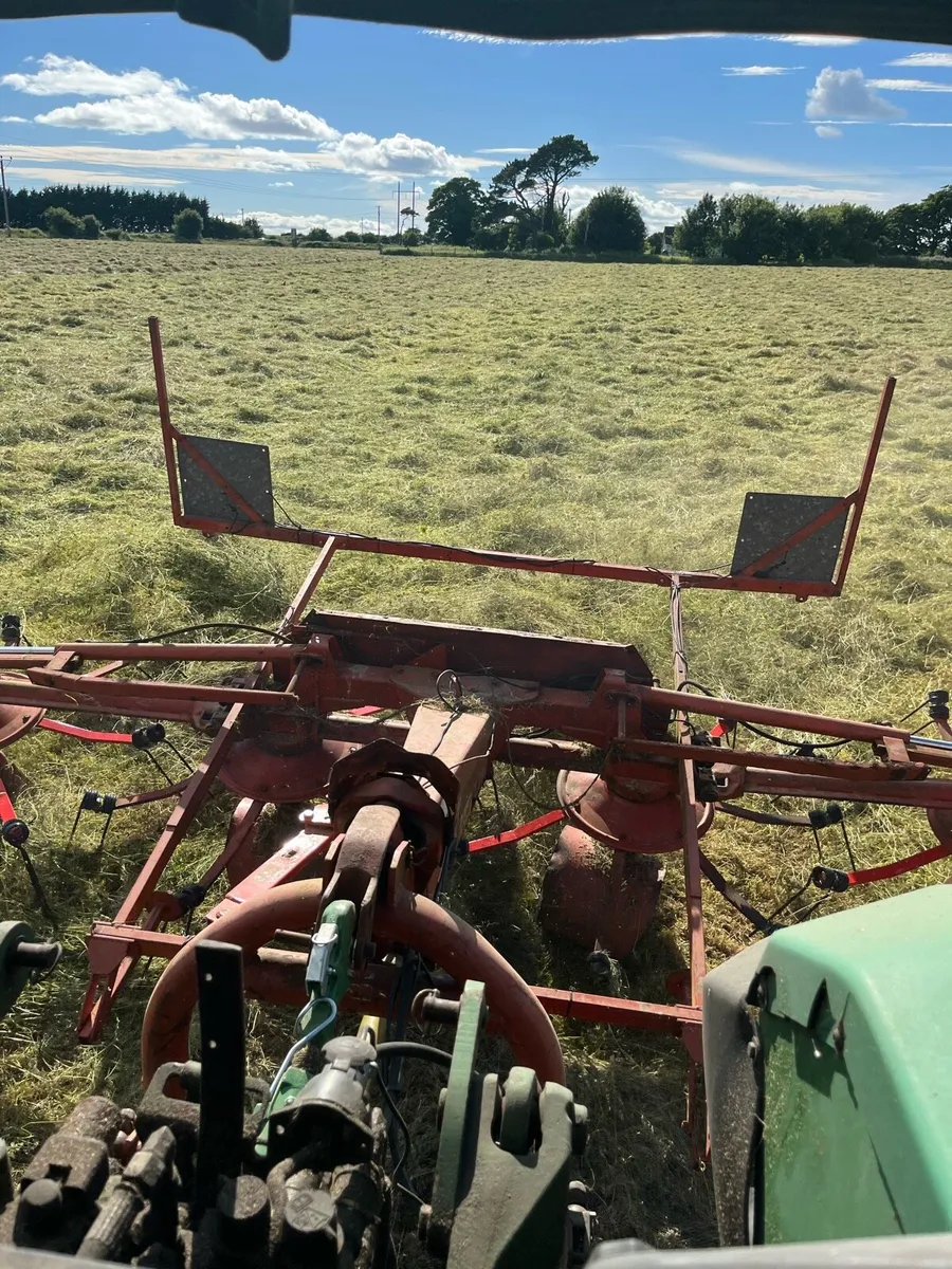 Hay - Image 2