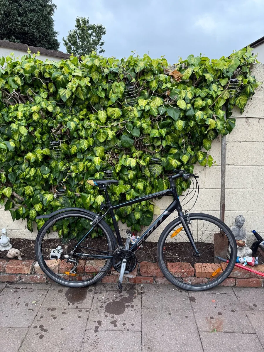 Scott Road Bike - Image 1