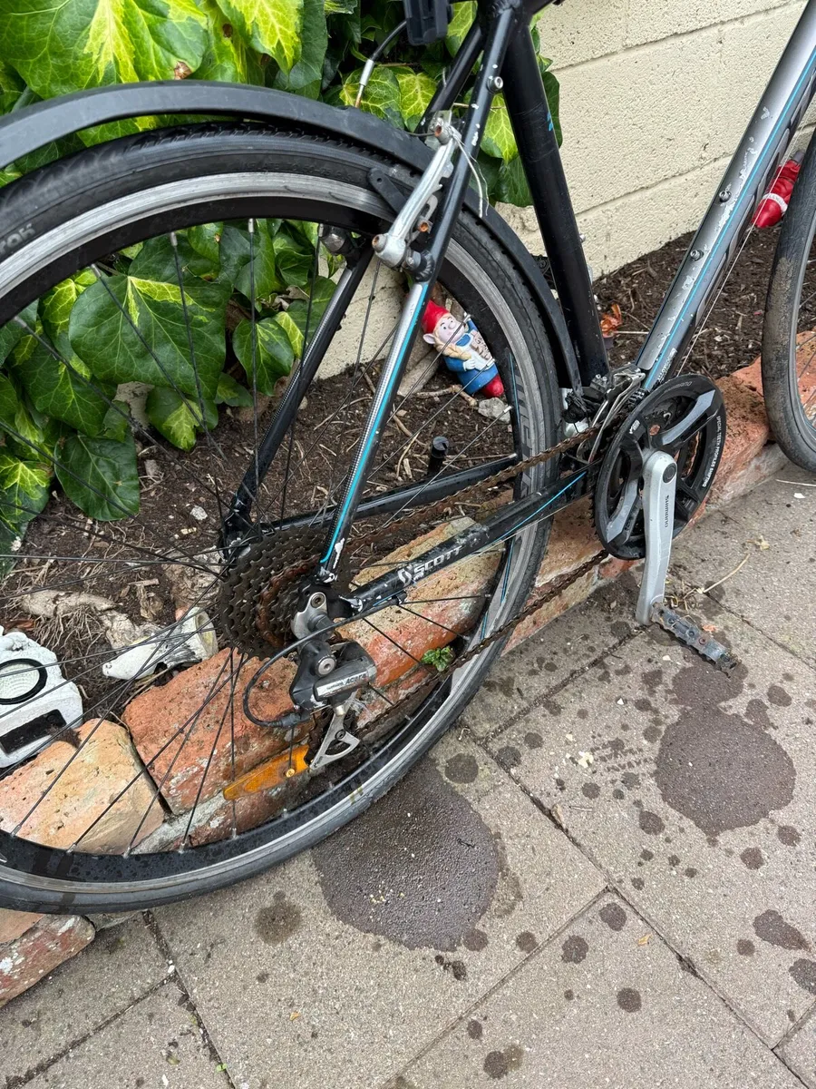 Scott Road Bike - Image 2
