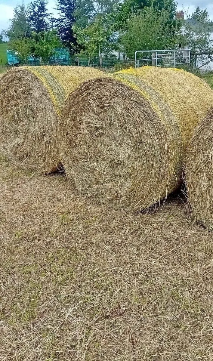 Hay Bales