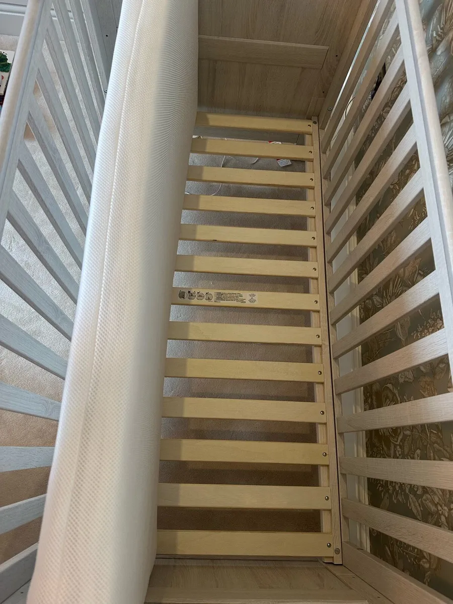 Cot - Image 4