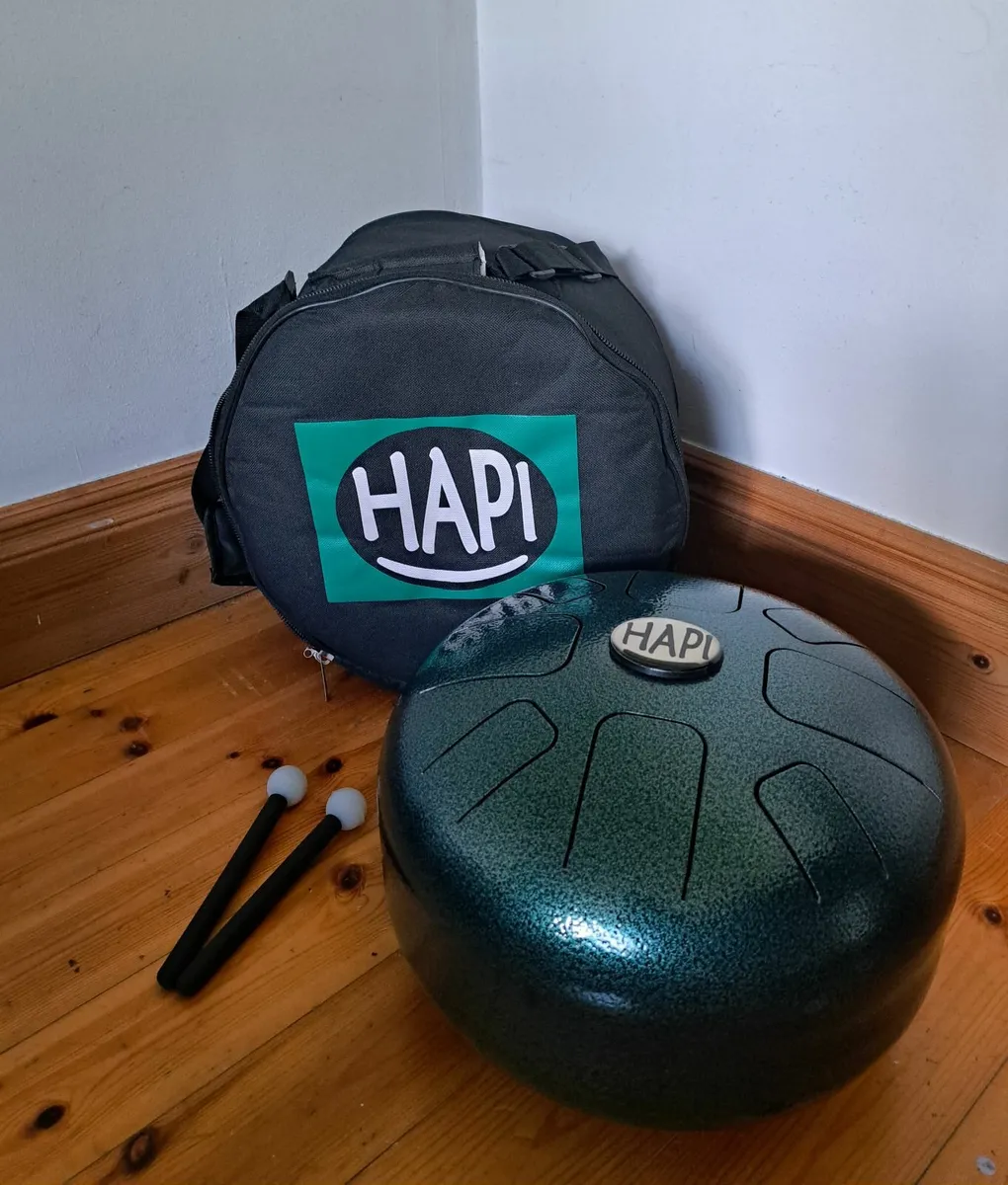Large Hapi Pan Drum in Dm - Image 1