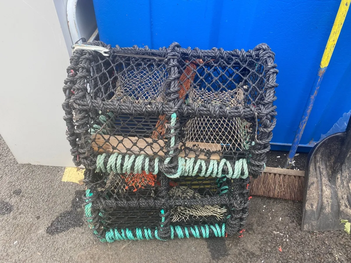 Lobster baskets - Image 3