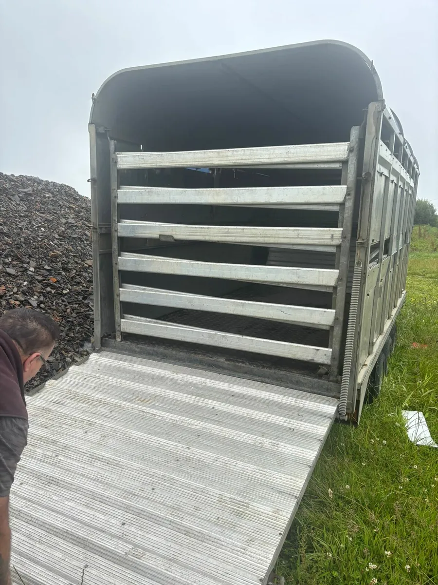 Cowbox - Image 3