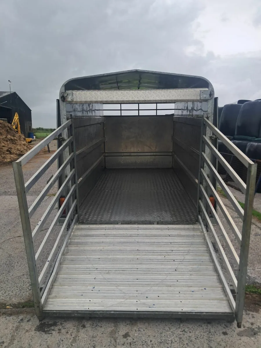 Trailer for sale - Image 3