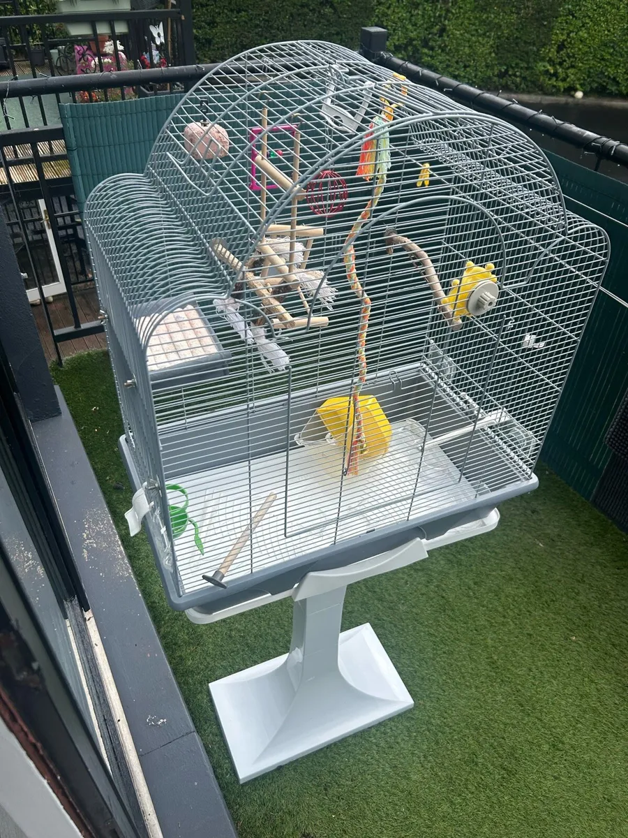 Bird cage - Image 1