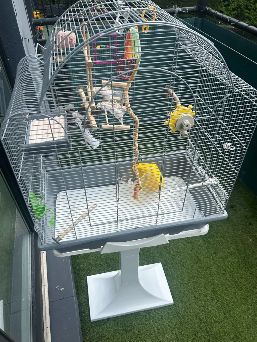 Bird cage - Image 2