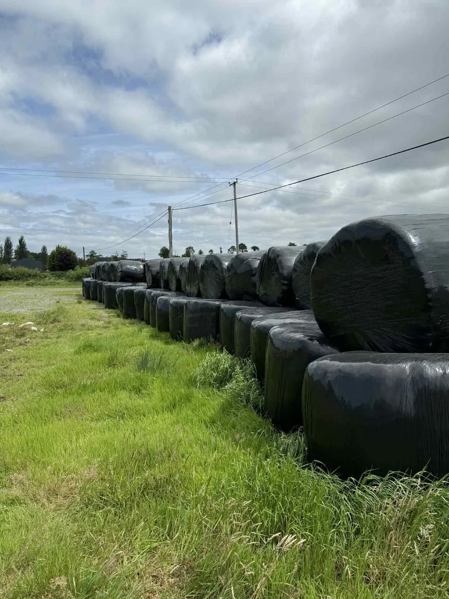 Bales being baled this week - Image 1