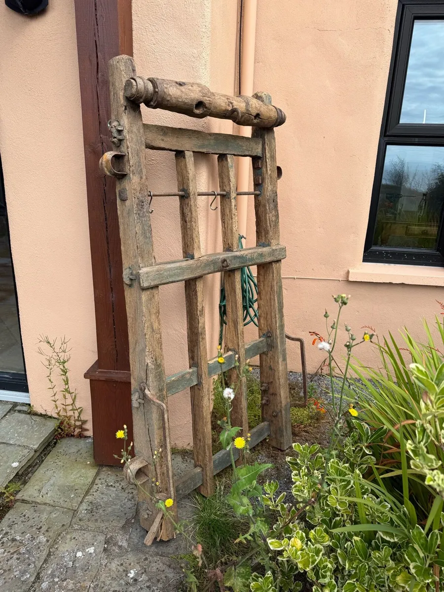 Antique ox harness?