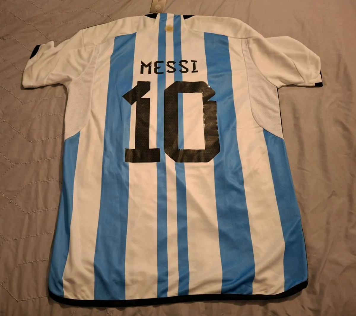 Lionel Messi - Image 2
