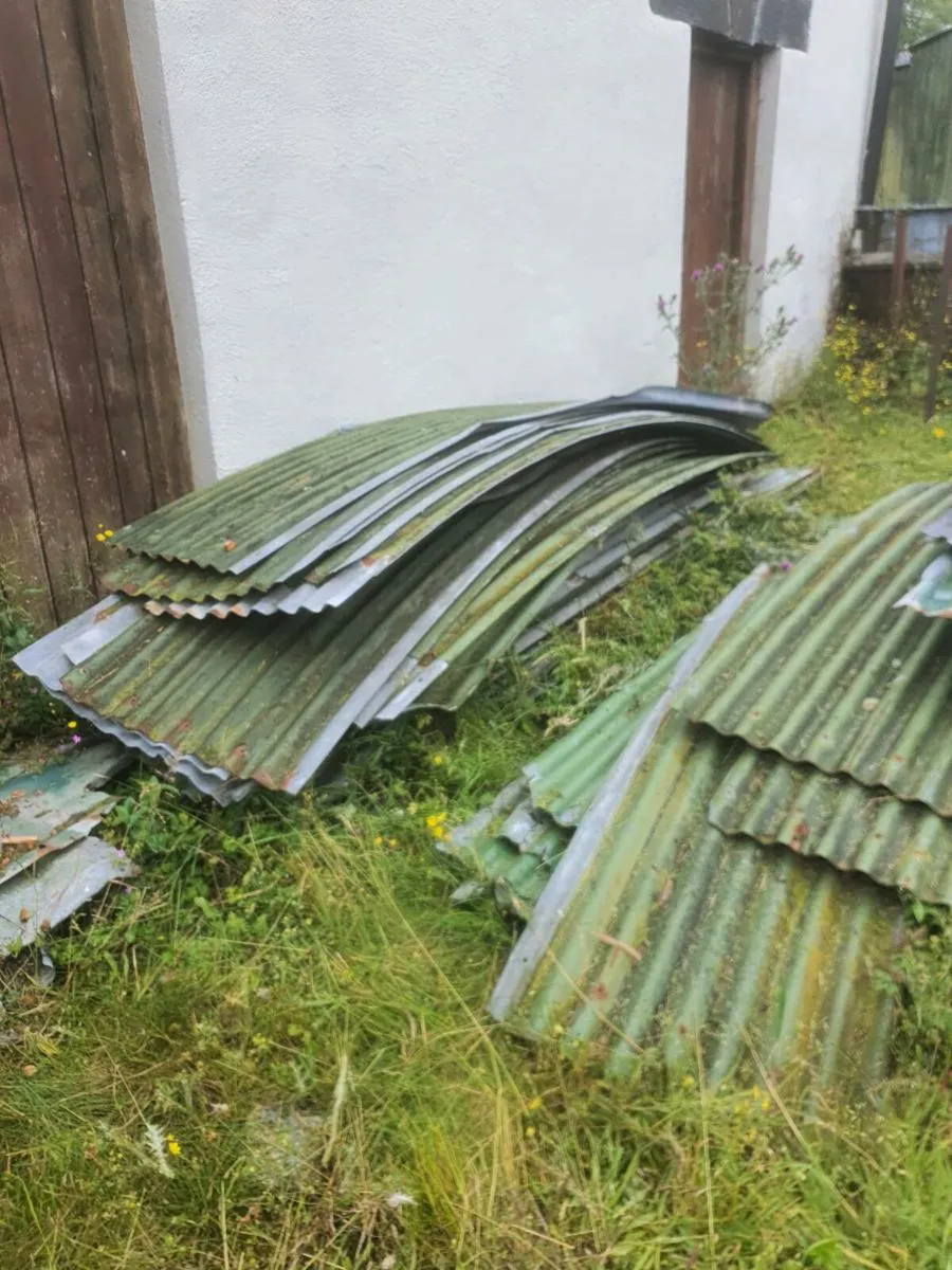 Hay shed corrugated iron - Image 1