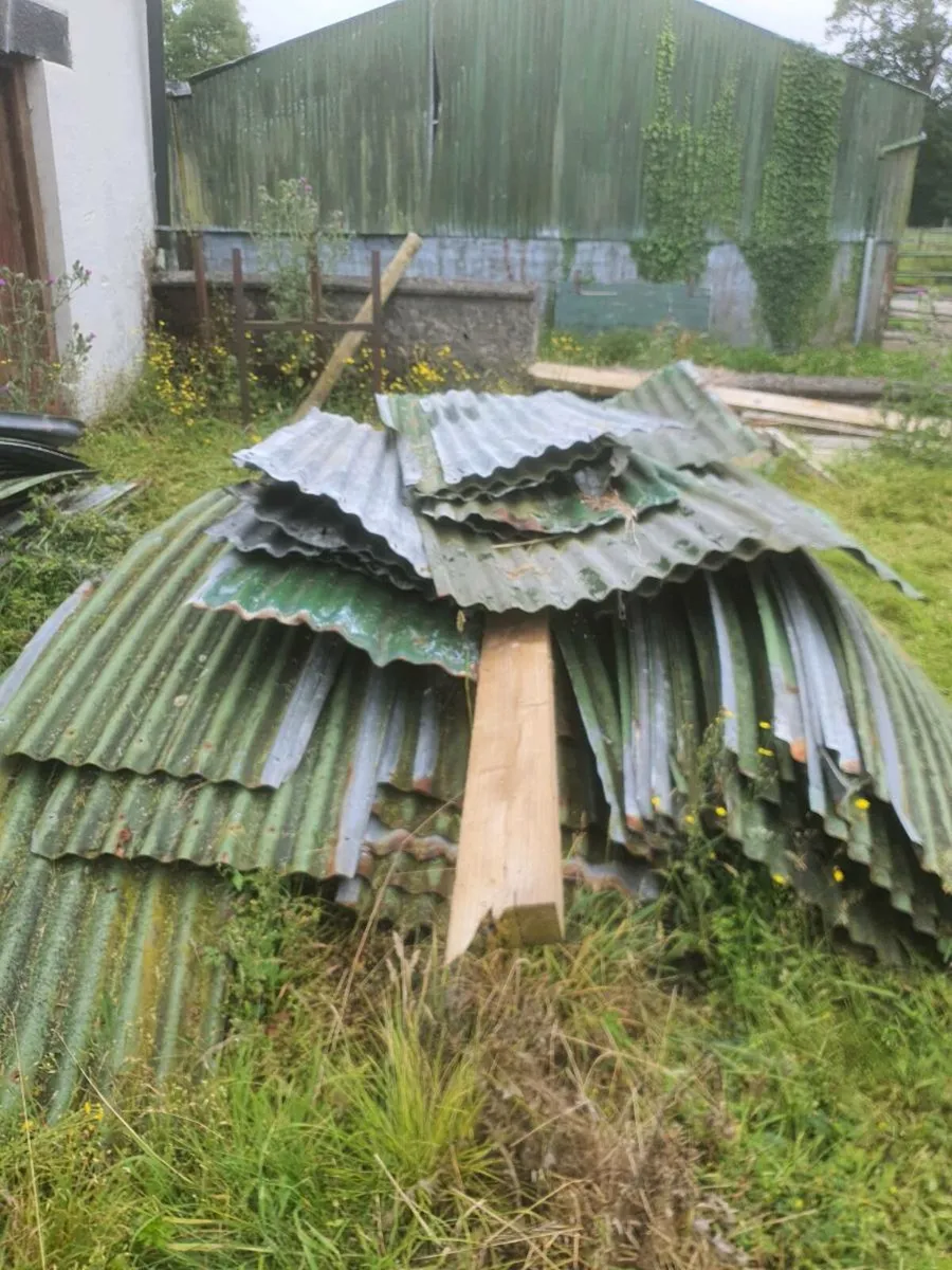Hay shed corrugated iron - Image 2