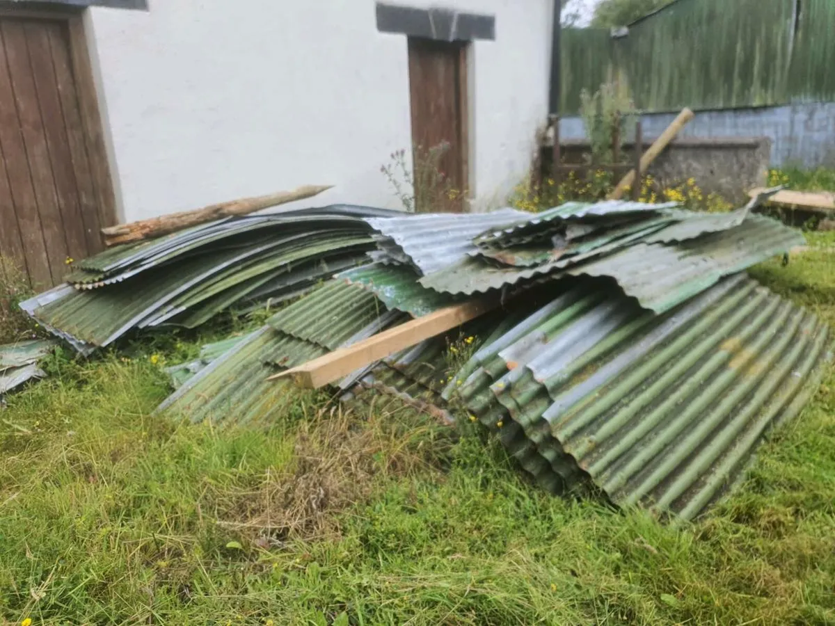 Hay shed corrugated iron - Image 3