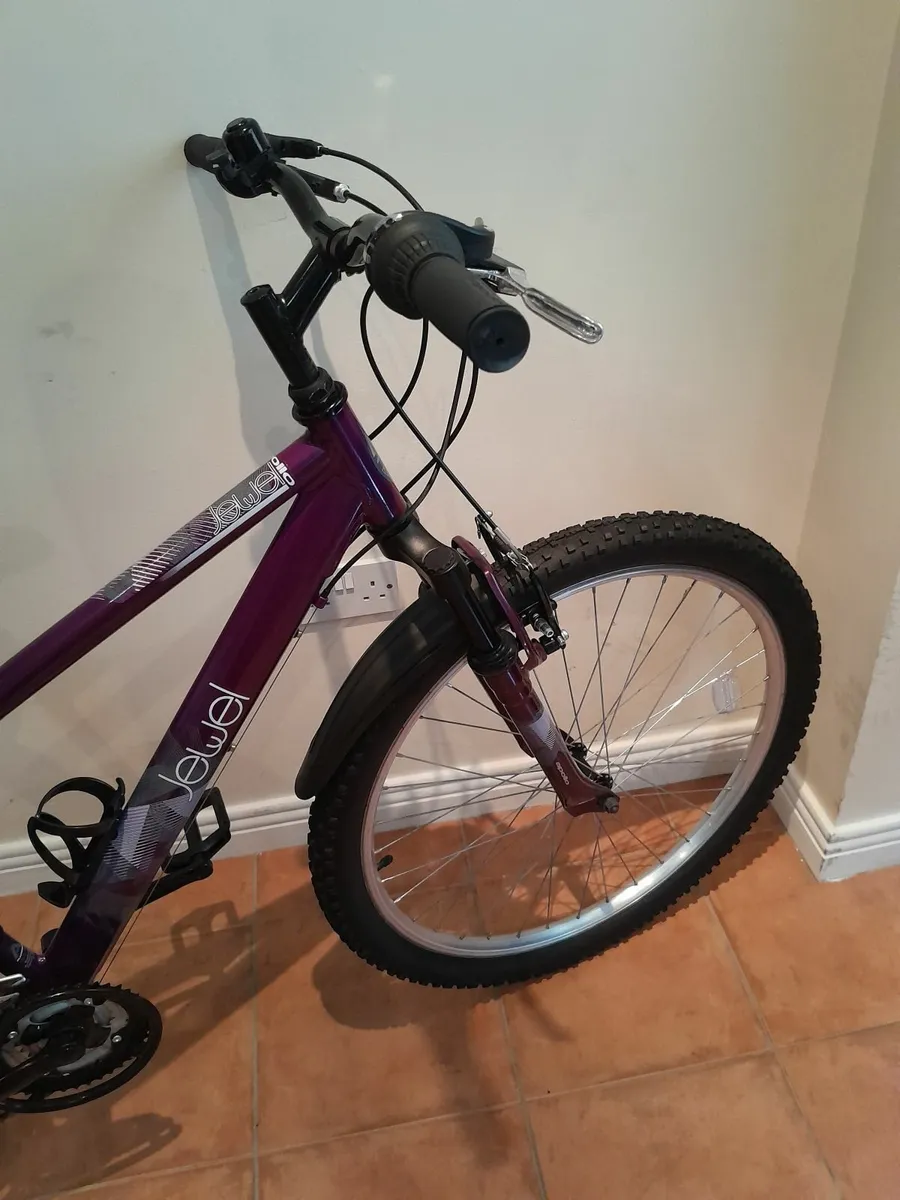 Bicycle - Image 3