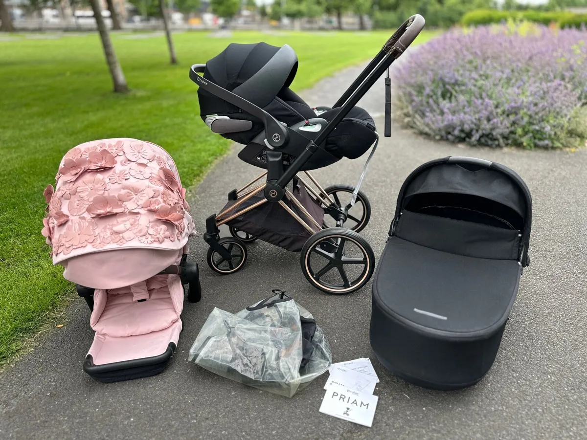 Cybex platinum Priam spring blossom 3 in 1 pink - Image 3