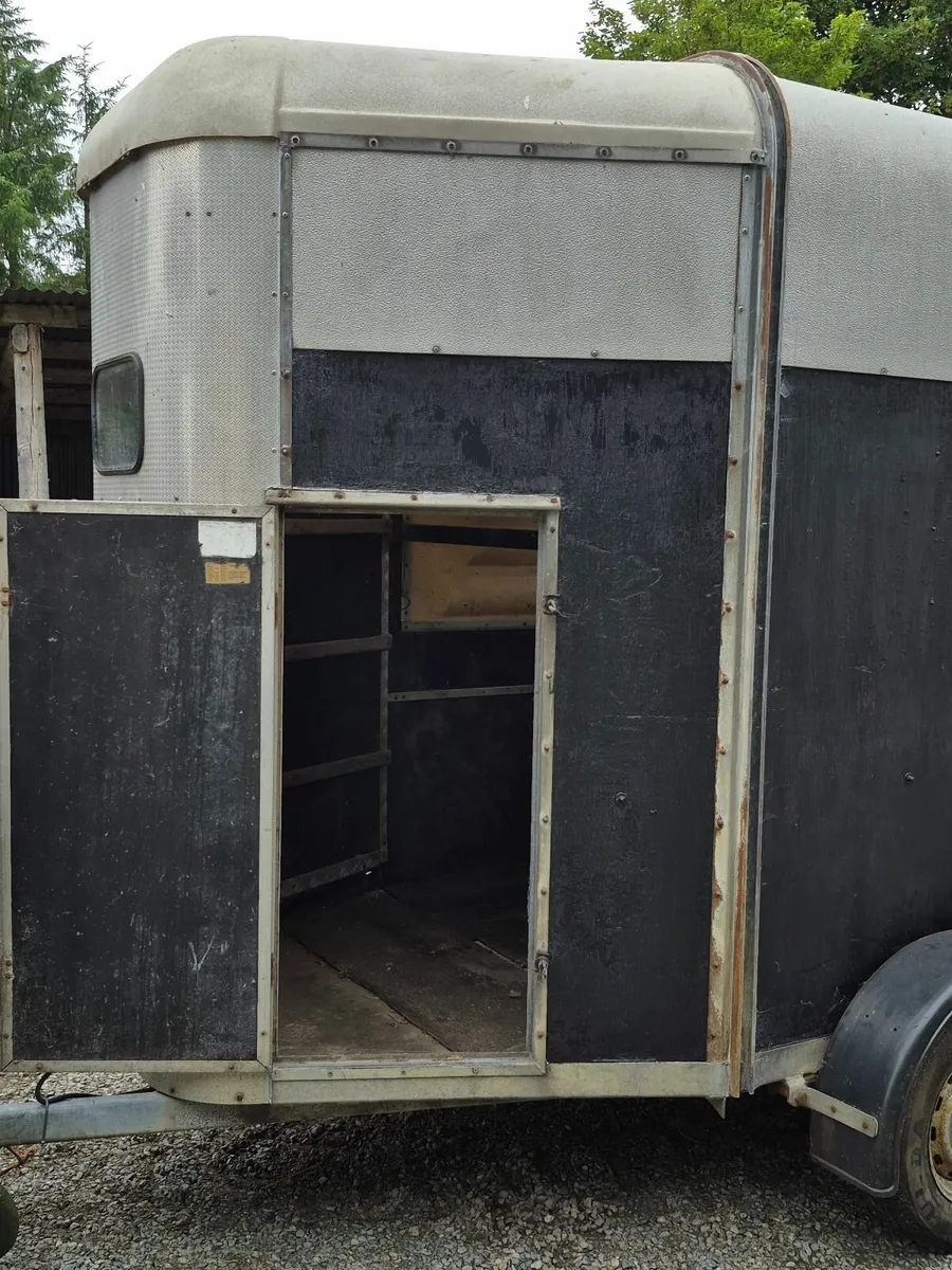 Horse Box Trailer - Image 4