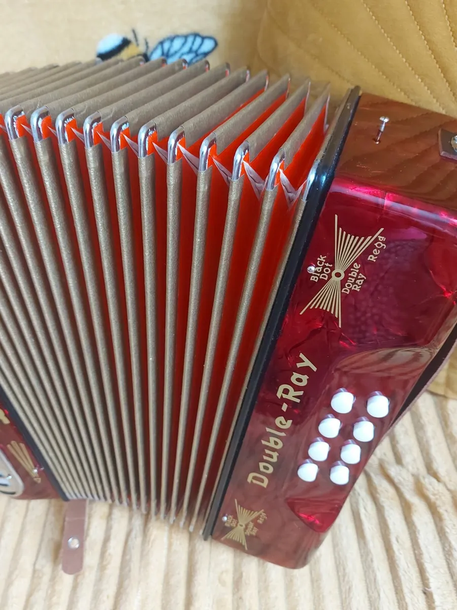 Accordion - Image 4