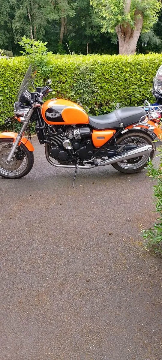 Triumph tiger 800Xrx. /Thunderbird 900 sport - Image 1