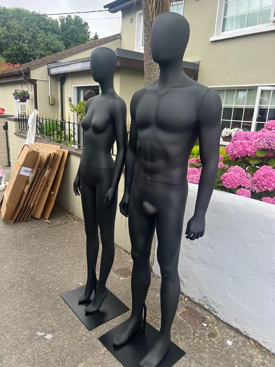 Mannequin males and females - Image 1