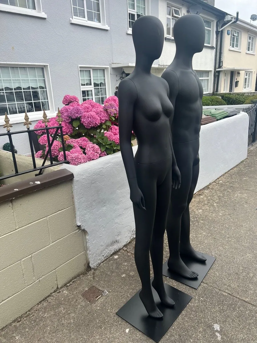 Mannequin males and females - Image 3