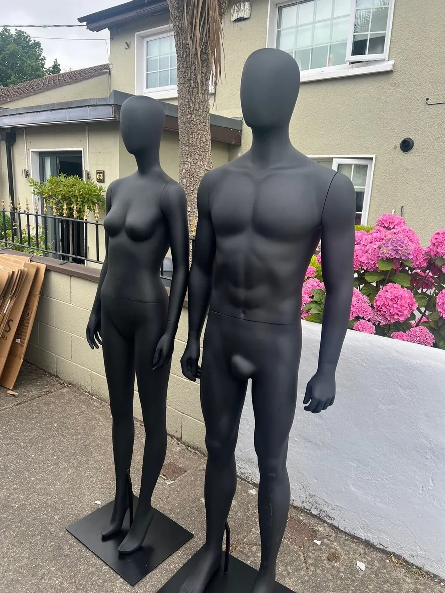Mannequin males and females - Image 4