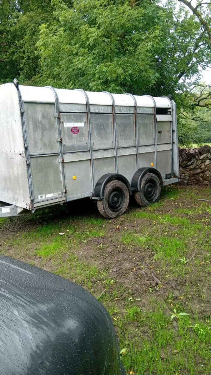 Cow box - Image 1