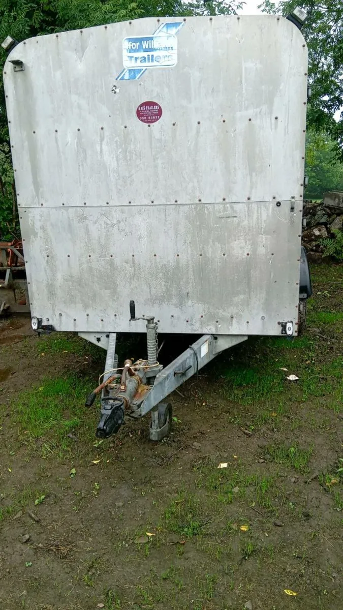 Cow box - Image 2