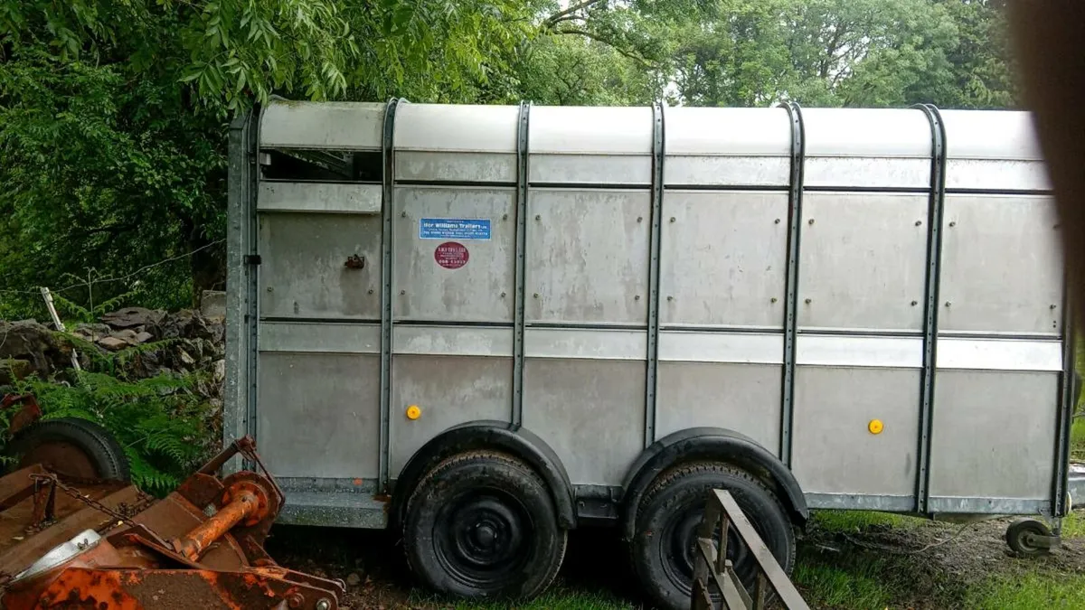 Cow box - Image 3