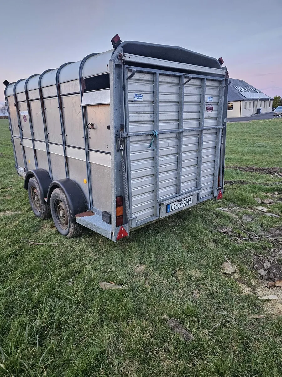 Cow box - Image 4