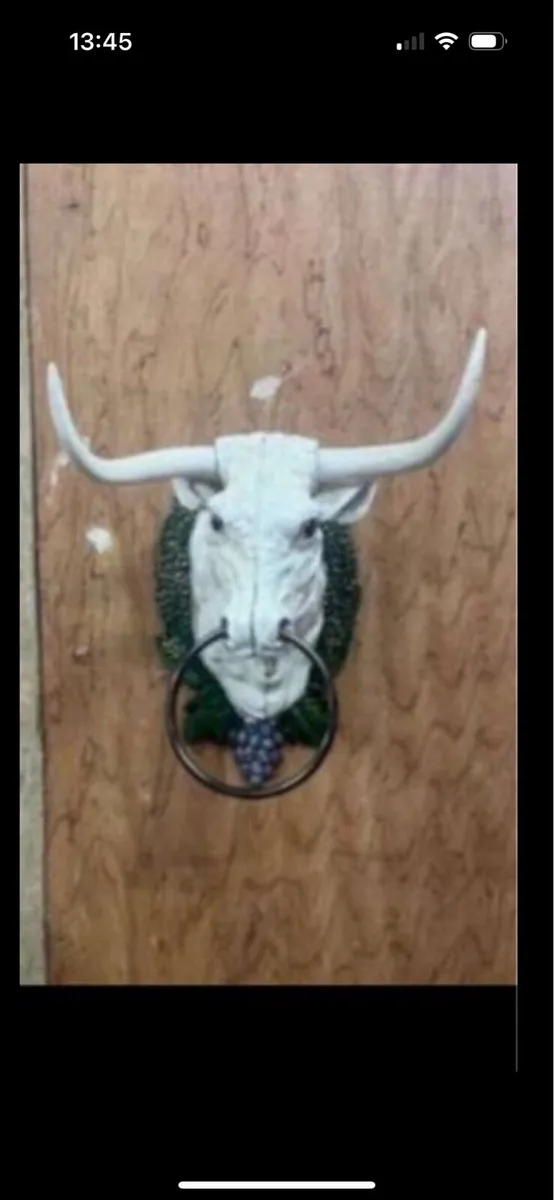 Bull door knocker - Image 1