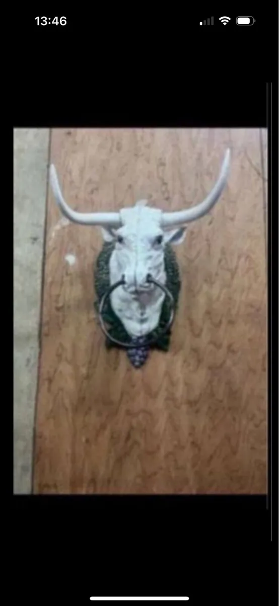 Bull door knocker - Image 3