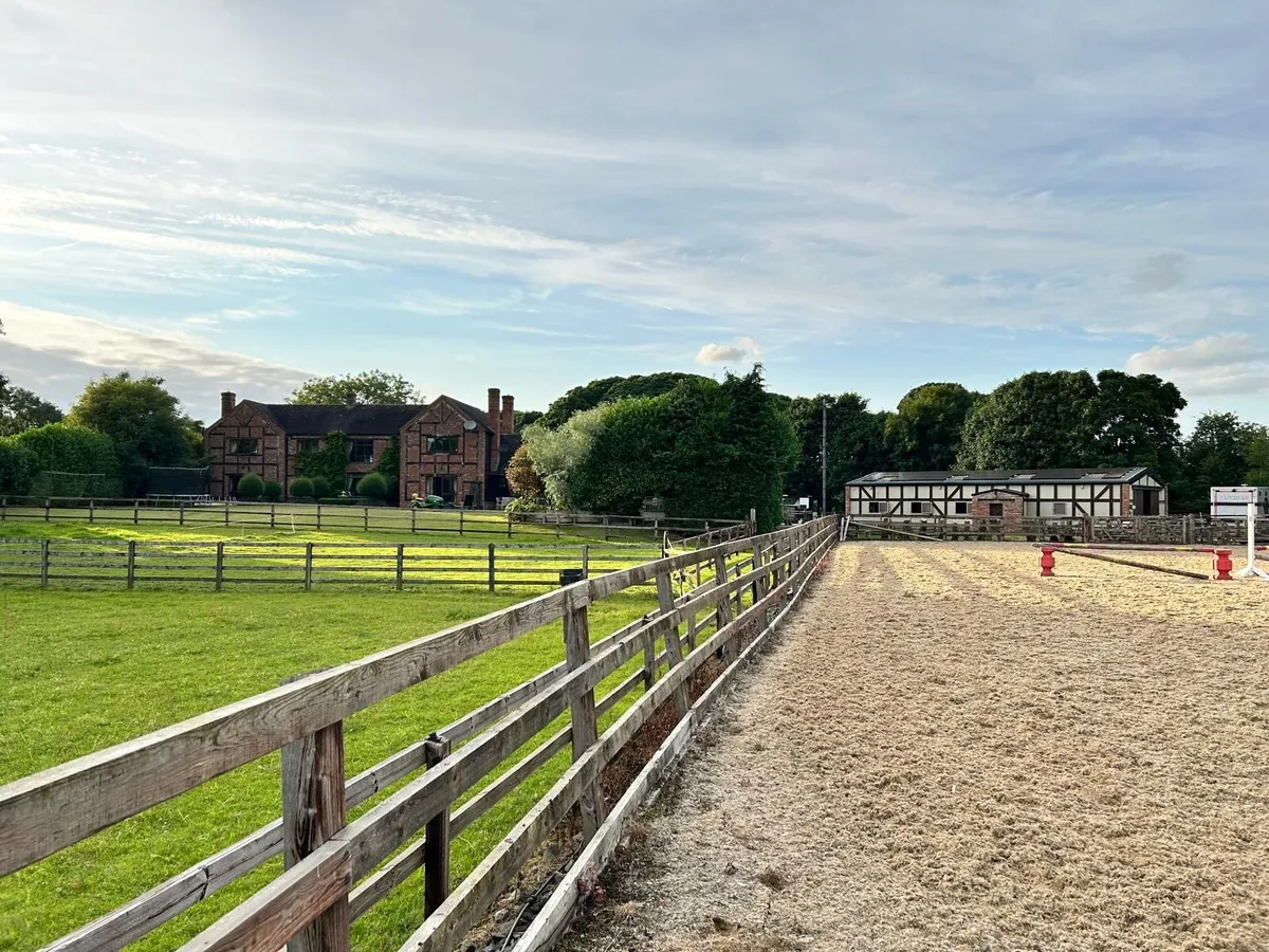 Stabled Livery available in serene rural location - Image 4