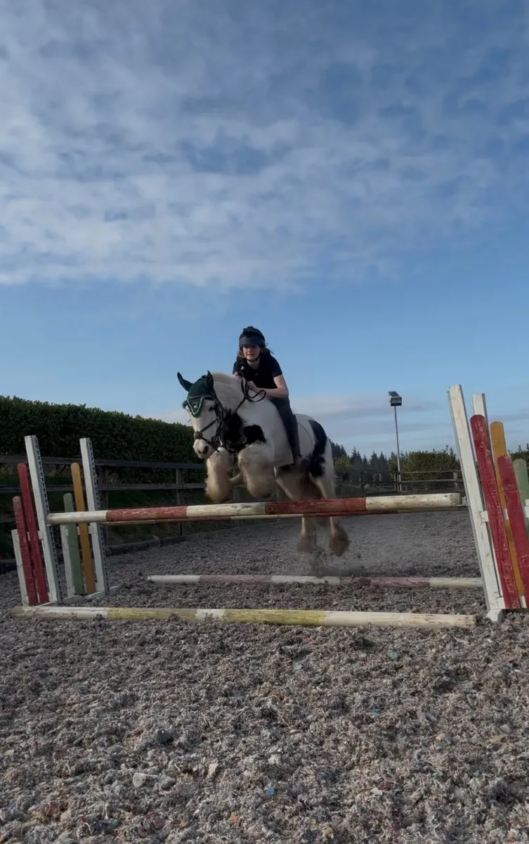 Super cob for lease! - Image 1