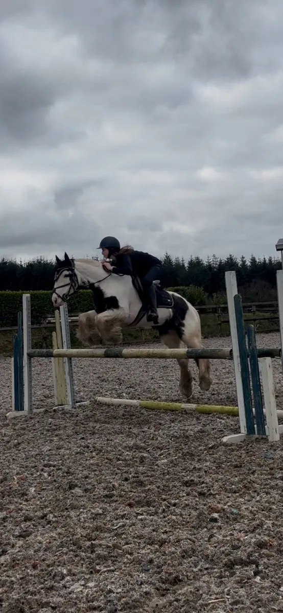 Super cob for lease! - Image 4