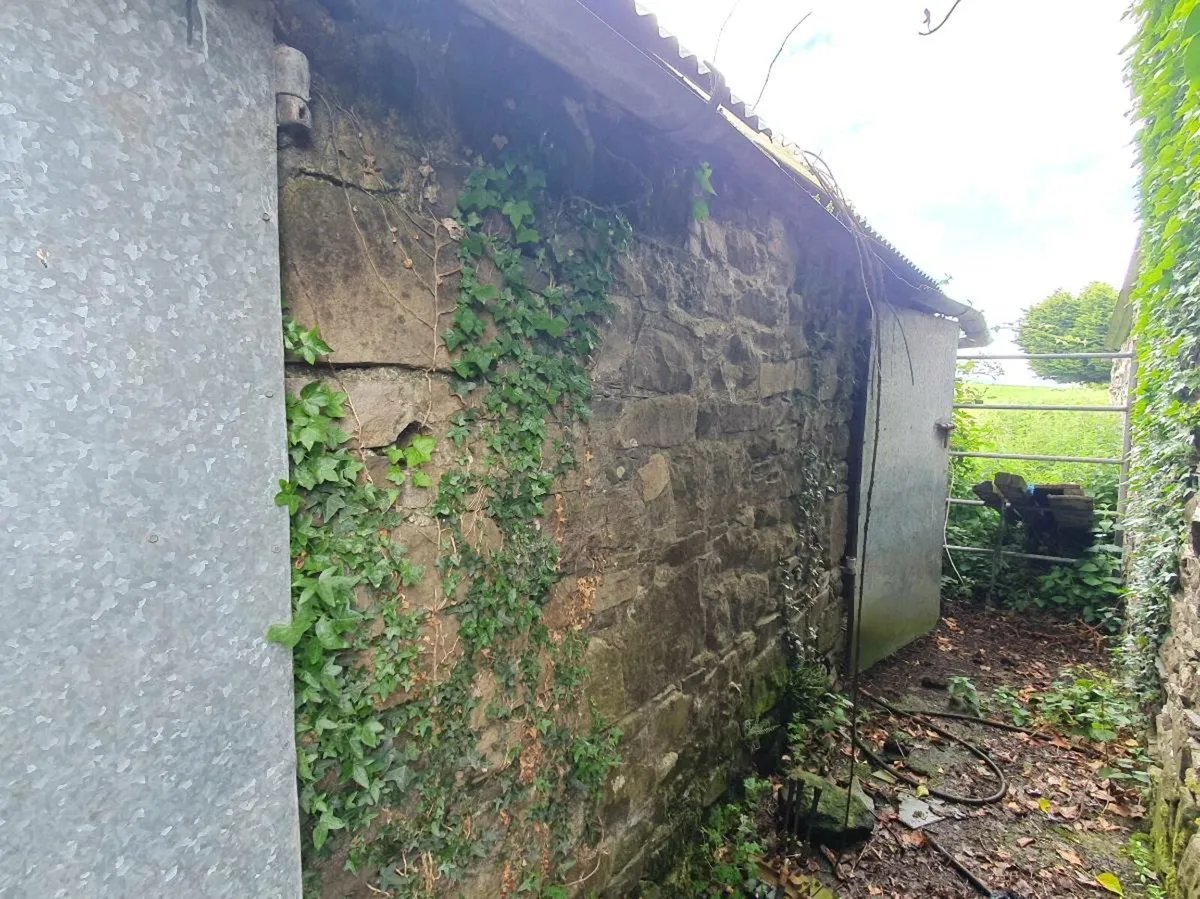 Stone - Image 3