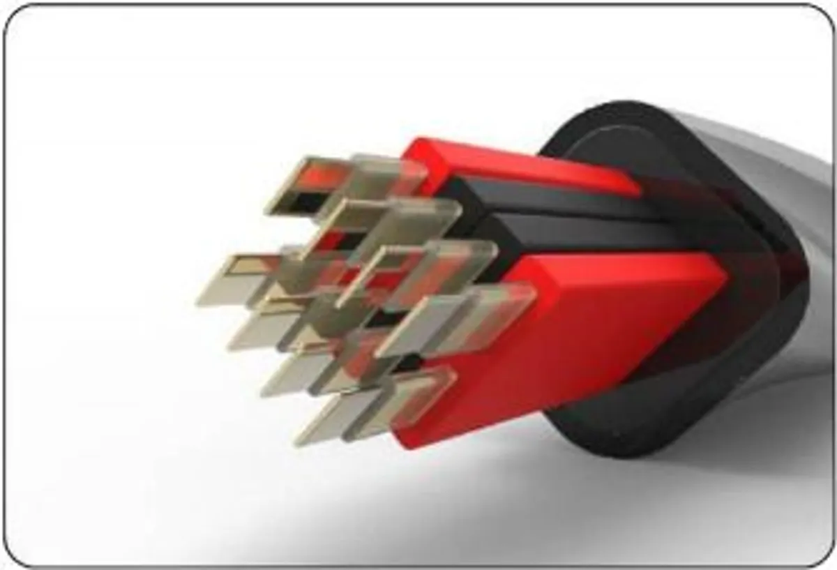 Hi End Netoech Speaker Cable - Image 2